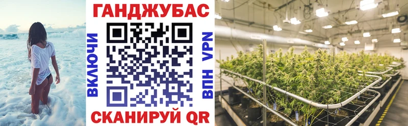 kraken ССЫЛКА  продажа наркотиков  Зеленогорск  МАРИХУАНА Amnesia 